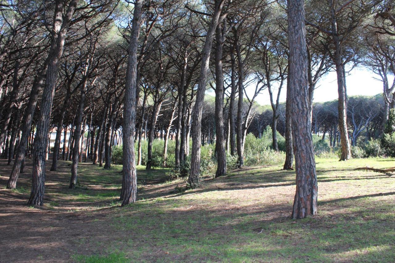Hotel Massimo Marina di Cecina Extérieur photo